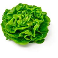 Een afbeelding van AH Kropsla