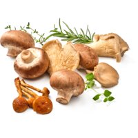 Een afbeelding van AH Paddenstoelen voor pasta en risotto