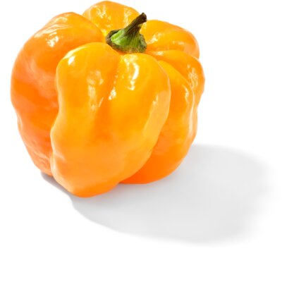 pdp-image-AH Adjuma peper