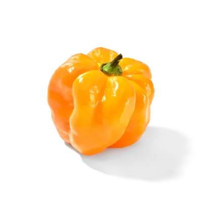 pdp-image-AH Adjuma peper