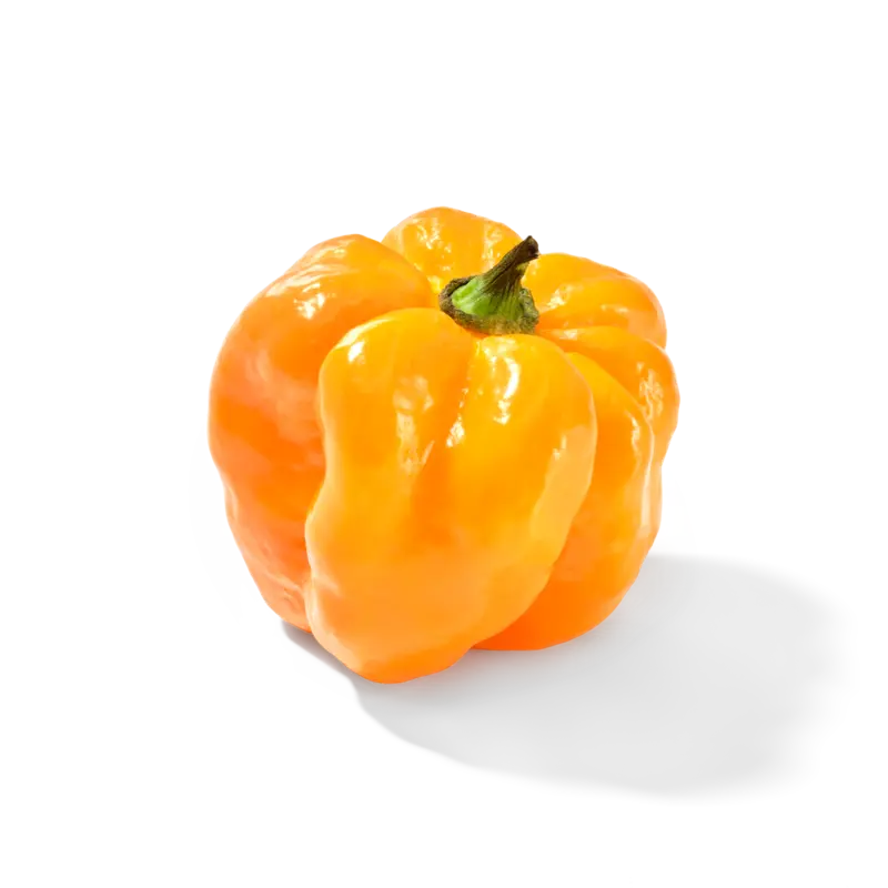 AH Adjuma peper