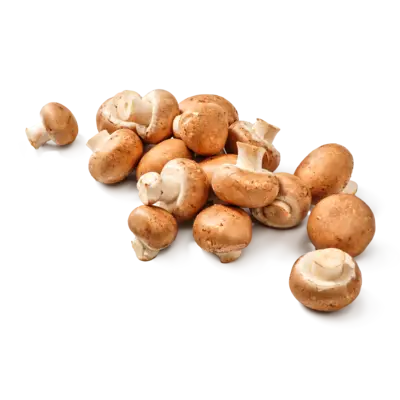 pdp-image-AH Kleine kastanjechampignons
