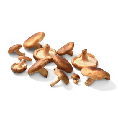 pdp-image-AH Biologisch Shiitake