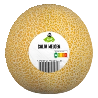 AH Biologisch Galia meloen