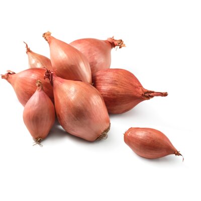 pdp-image-AH Sjalotten