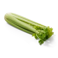 AH Bleekselderij