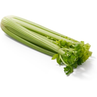 pdp-image-AH Bleekselderij