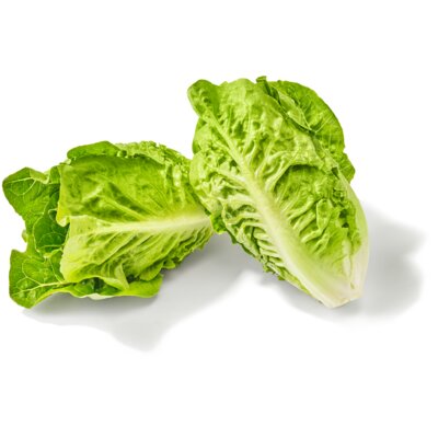 pdp-image-AH Biologisch Baby romaine