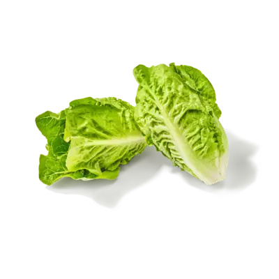 pdp-image-AH Biologisch Baby romaine