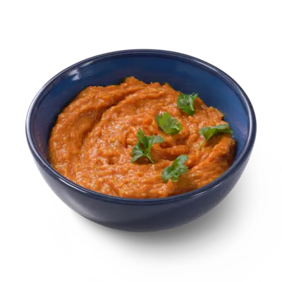 pdp-image-AH Terra Plantaardig tandoori curry spread