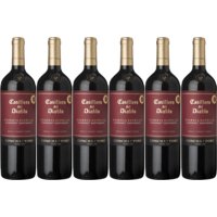 Een afbeelding van Casillero del Diablo  Reserva especial cabernet sau 6 flessen