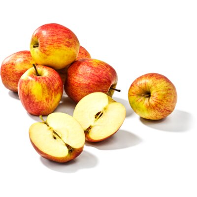 pdp-image-AH Jonagold zak