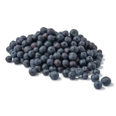 pdp-image-AH Blauwe bessen