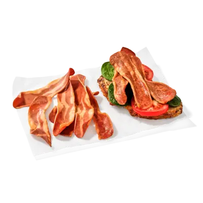 pdp-image-AH Terra Plantaardige bacon