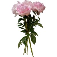 Productfoto van undefined