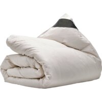 Een afbeelding van Ten Cate Dekbed 4-seizoenen dons 90/10 240x220