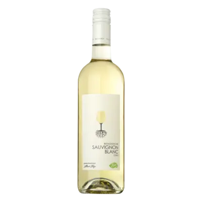 pdp-image-AH Biologisch Sauvignon blanc