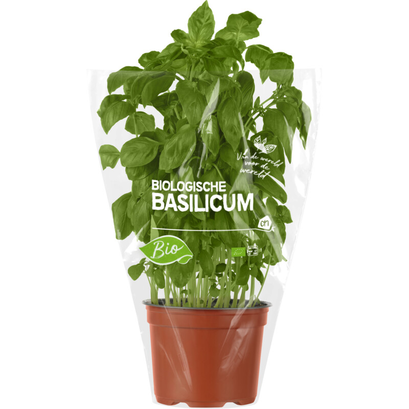 Een afbeelding van AH Biologisch Basilicum pot