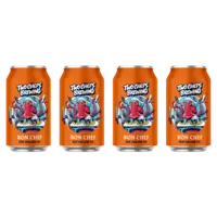 Two Chefs Brewing Bon Chef 4-pack