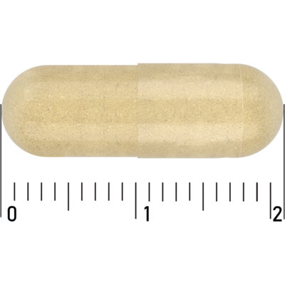 pdp-image-Care Multi zwanger worden & zwanger zijn