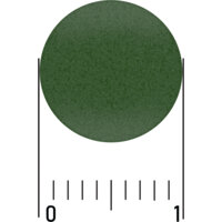 Een afbeelding van Care Chlorella & spirulina 250mg