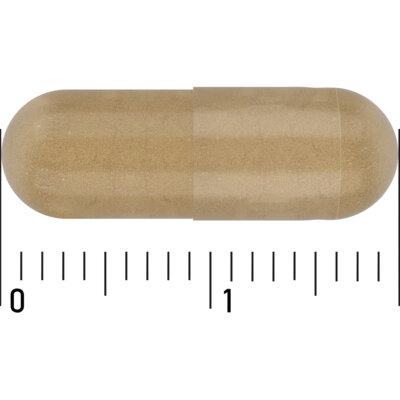 pdp-image-Care Mariadistel 250mg