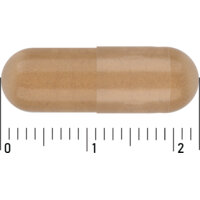 Een afbeelding van Care Gemberpoeder 500mg