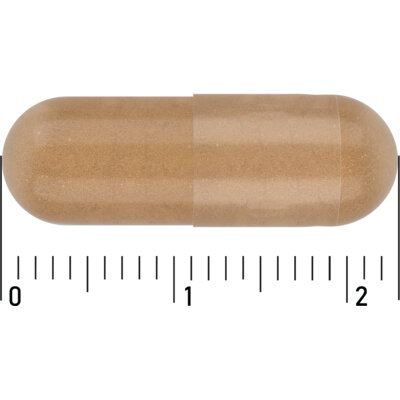 pdp-image-Care Gemberpoeder 500mg