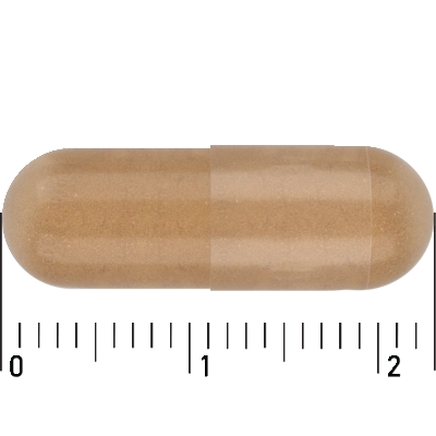 pdp-image-Care Gemberpoeder 500mg