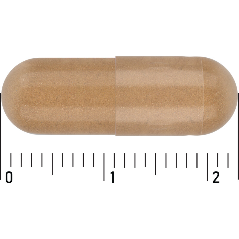 Een afbeelding van Care Gemberpoeder 500mg