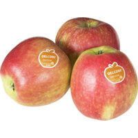 Productfoto van undefined
