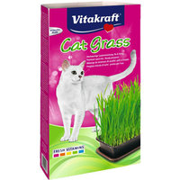 Een afbeelding van Vitakraft Kattengras