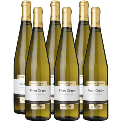 pdp-image-Mastri Vernacoli Pinot Grigio doos