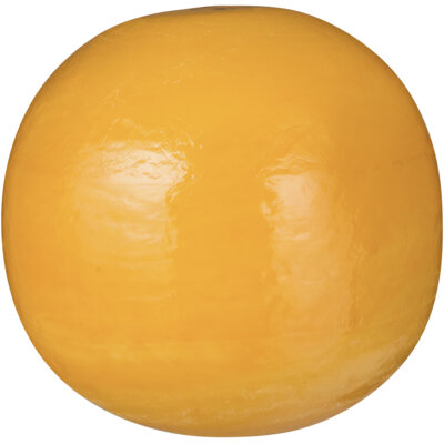 pdp-image-Edam Jong 40+ bol