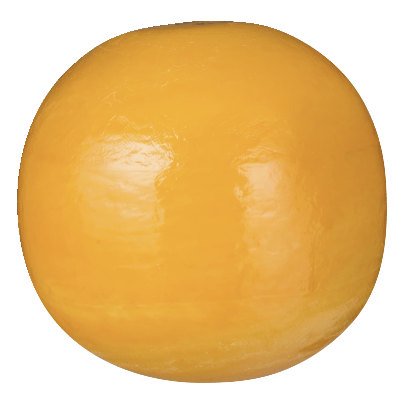 Edam Jong 40+ bol