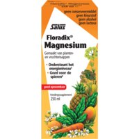 Een afbeelding van Floradix Magnesium