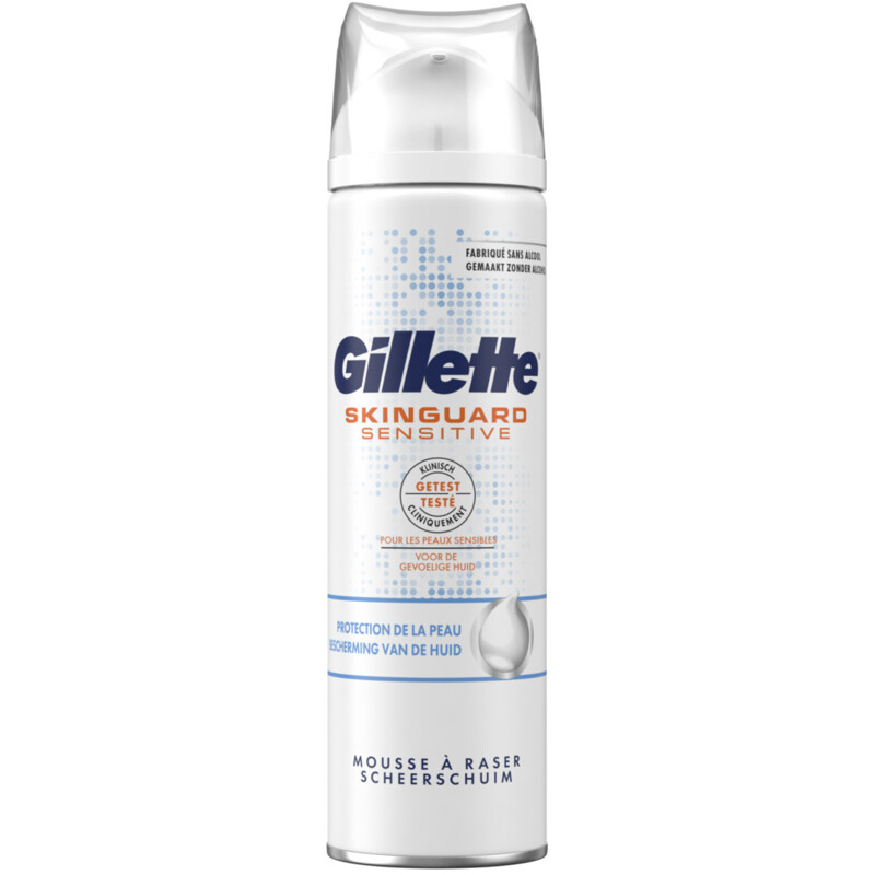 Gillette SkinGuard Scheerschuim 250 ml bestellen | Albert Heijn