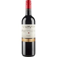Afbeelding van Valdivieso Malbec central valley