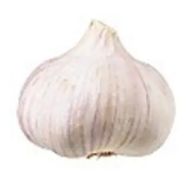 pdp-image-AH Biologisch Knoflook groot