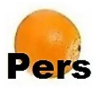 pdp-image-AH Perssinaasappel
