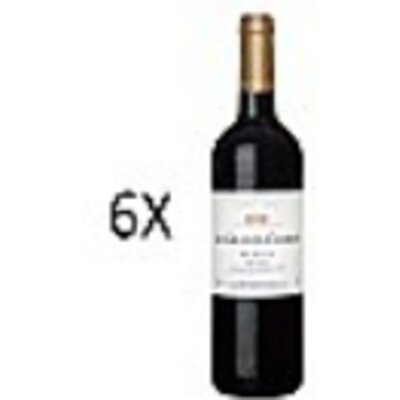 pdp-image-Petunia surfinia p10.5