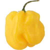 Afbeelding van Adjuma peper