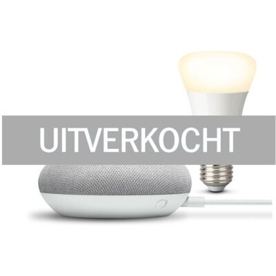 pdp-image-Philips Hue white bulb + google