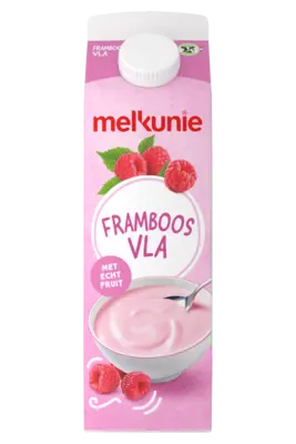 pdp-image-Melkunie Framboos vla