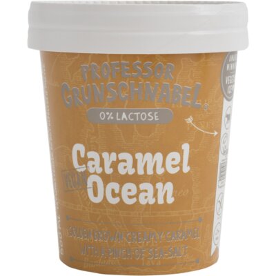 pdp-image-Prof Grunschnabel Naturel vegetal ice caramel
