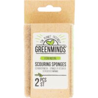 Een afbeelding van Greenminds Schuursponzen