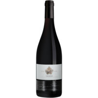 Afbeelding van Maitre de Chai Chinon cabernet franc