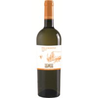 Afbeelding van Falanghina Di Majo Norante