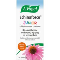 Een afbeelding van A.Vogel Echinaforce junior tabletten bij griep