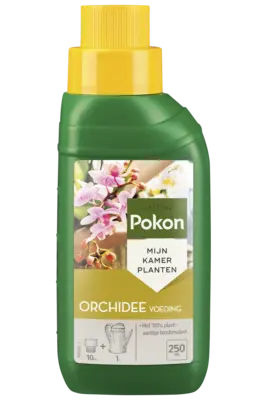 pdp-image-Pokon Orchidee